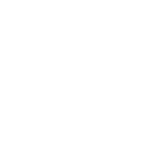VALUES-AP Consulting
